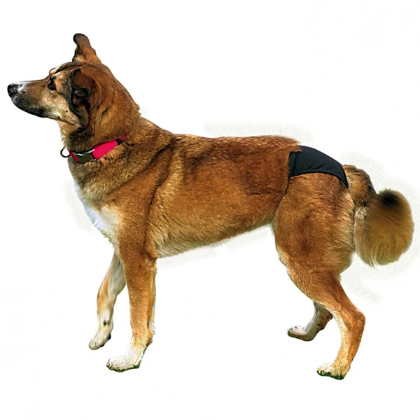 23491