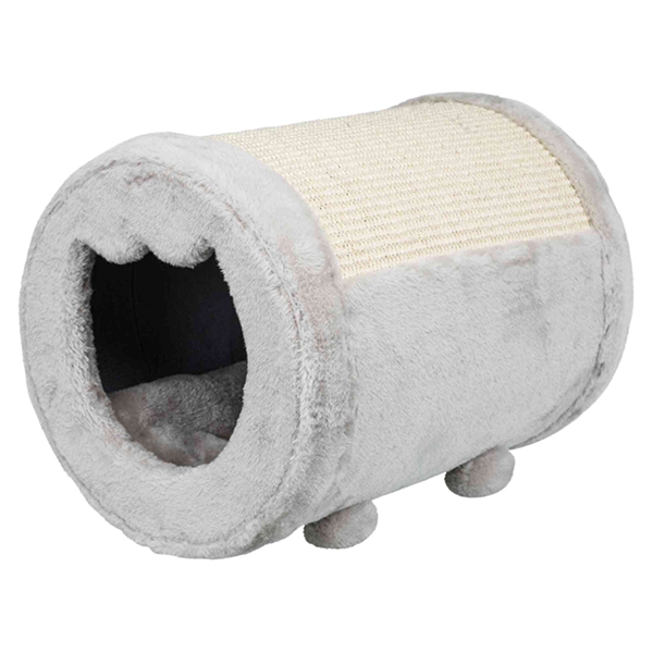 43119