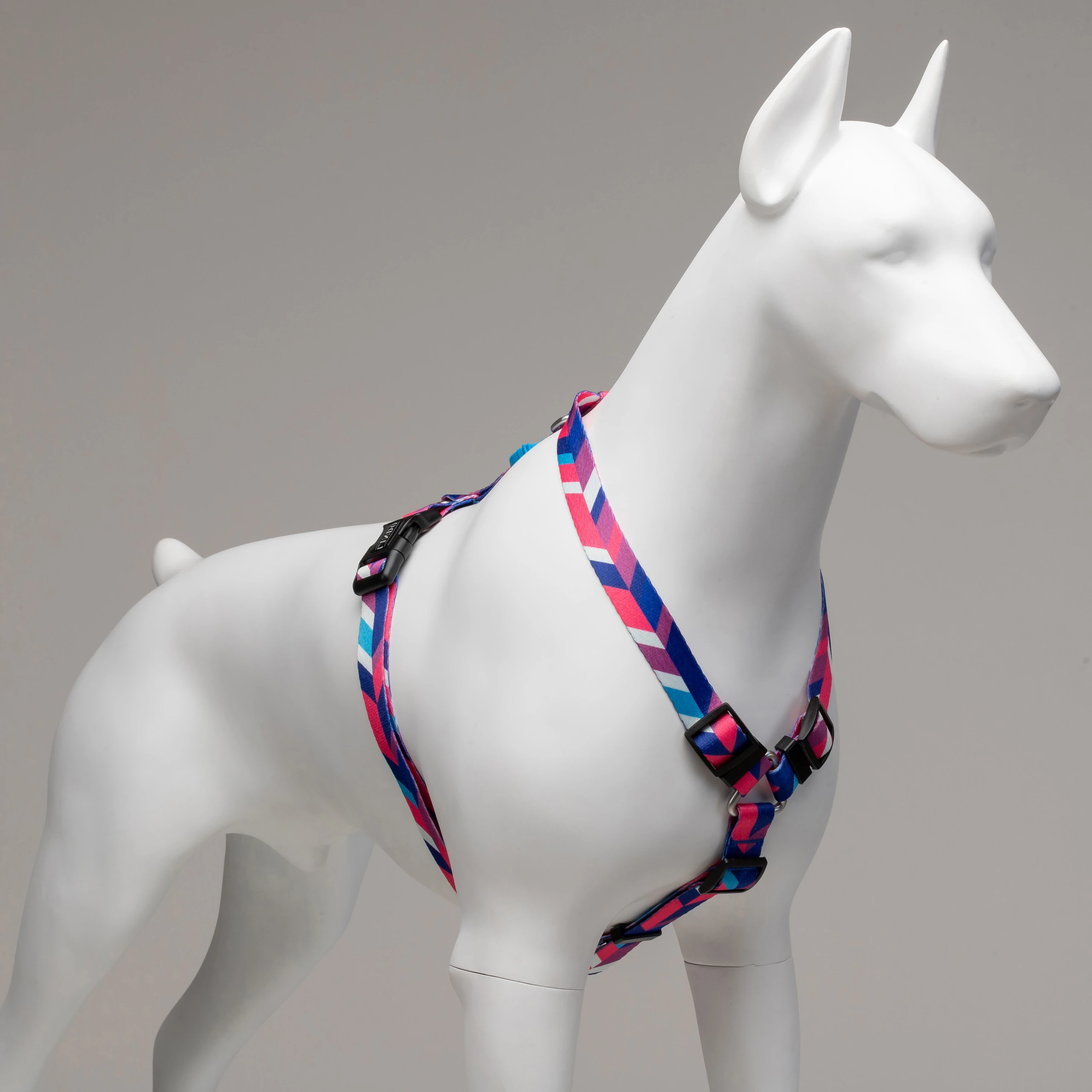 HTPDQ10