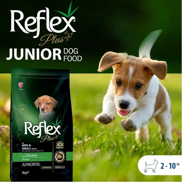 RFX-101