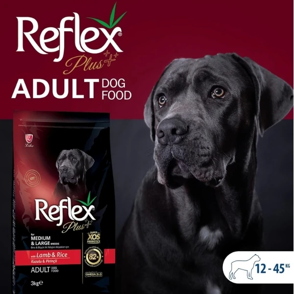 RFX-105
