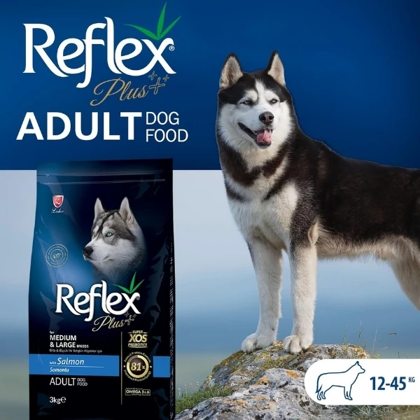RFX-106