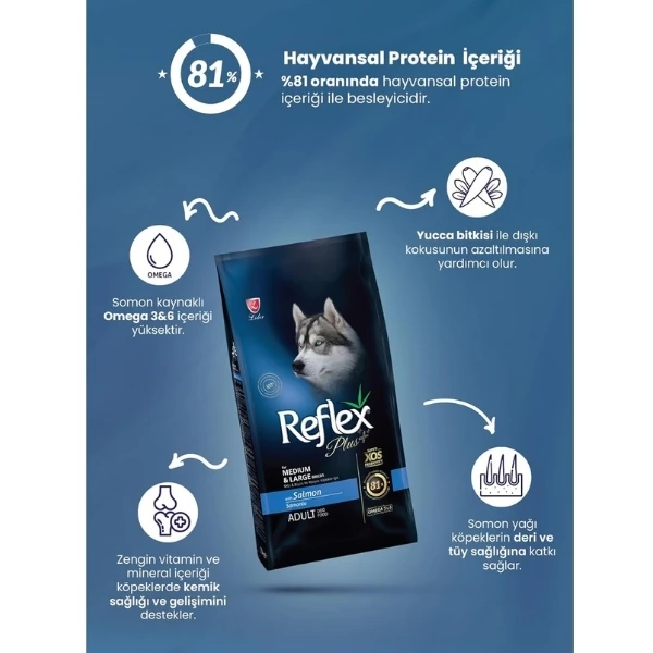 RFX-106