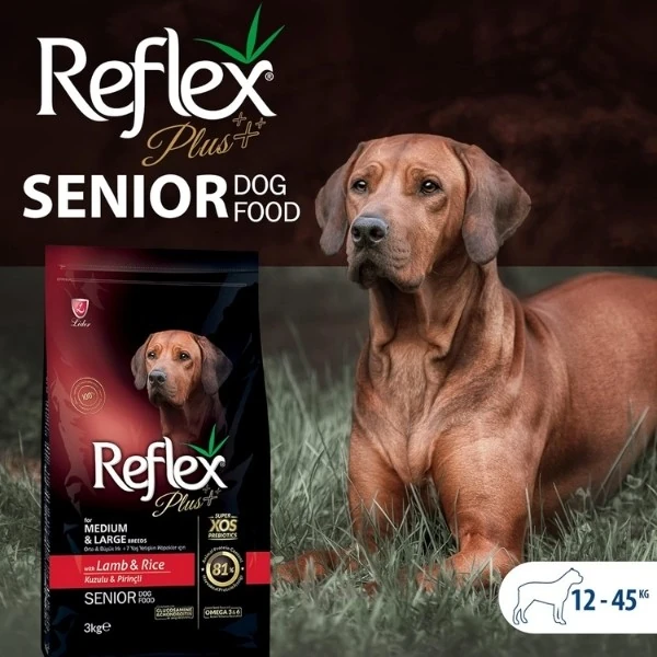 RFX-107