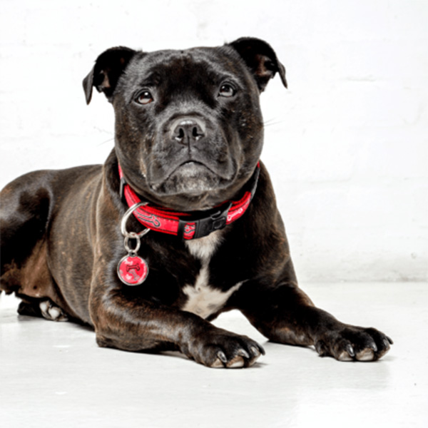 RHB03CM