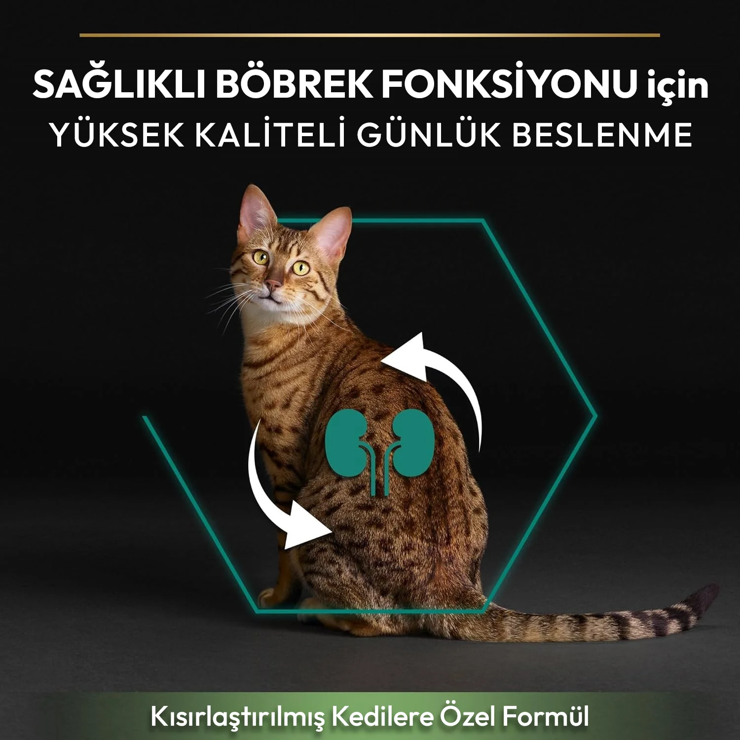 12369078