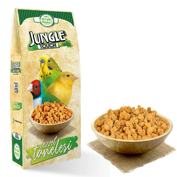 JNGT-002