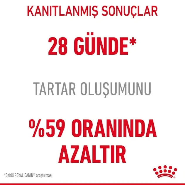 253201500