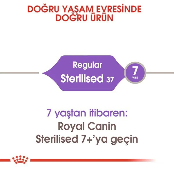 253700400