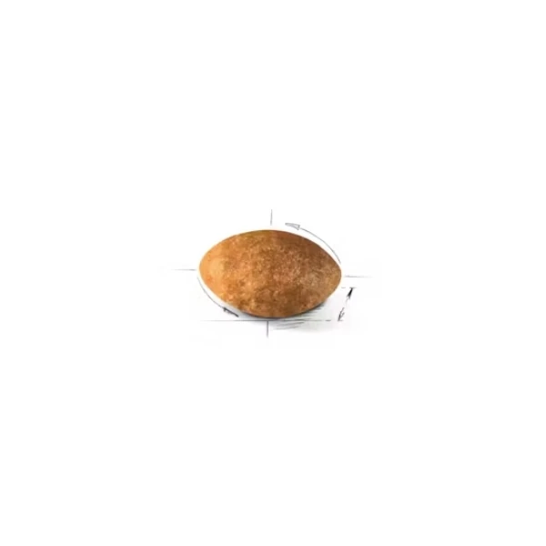 255200400