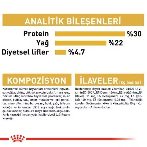 255200400