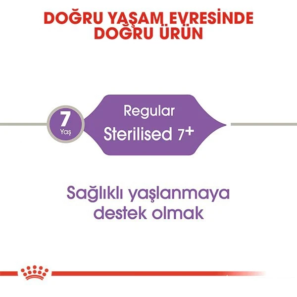 256001500