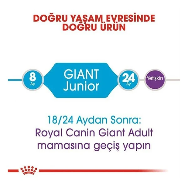 303115000