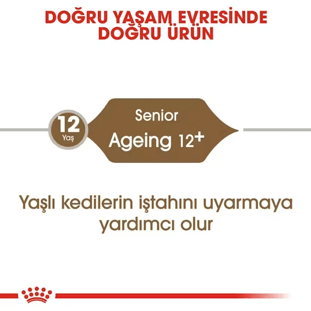 408201020