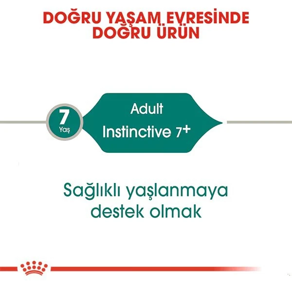 408301020