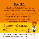 PTZ-C-012