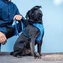 RSJW255WS