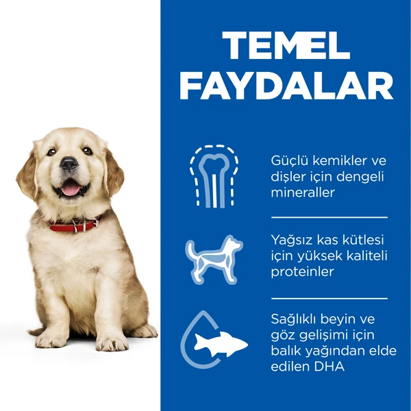 620-604304
