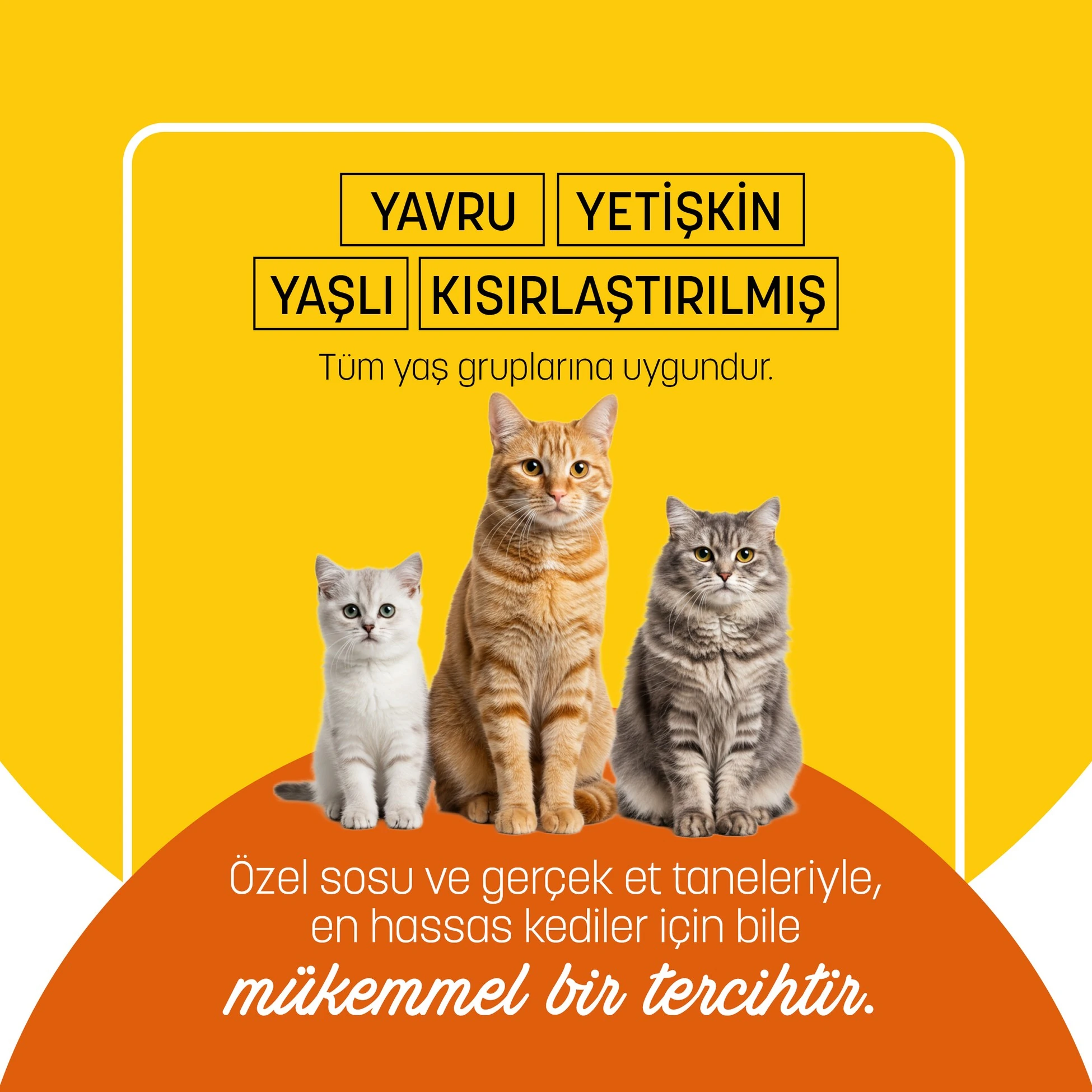 PETZZ-C002