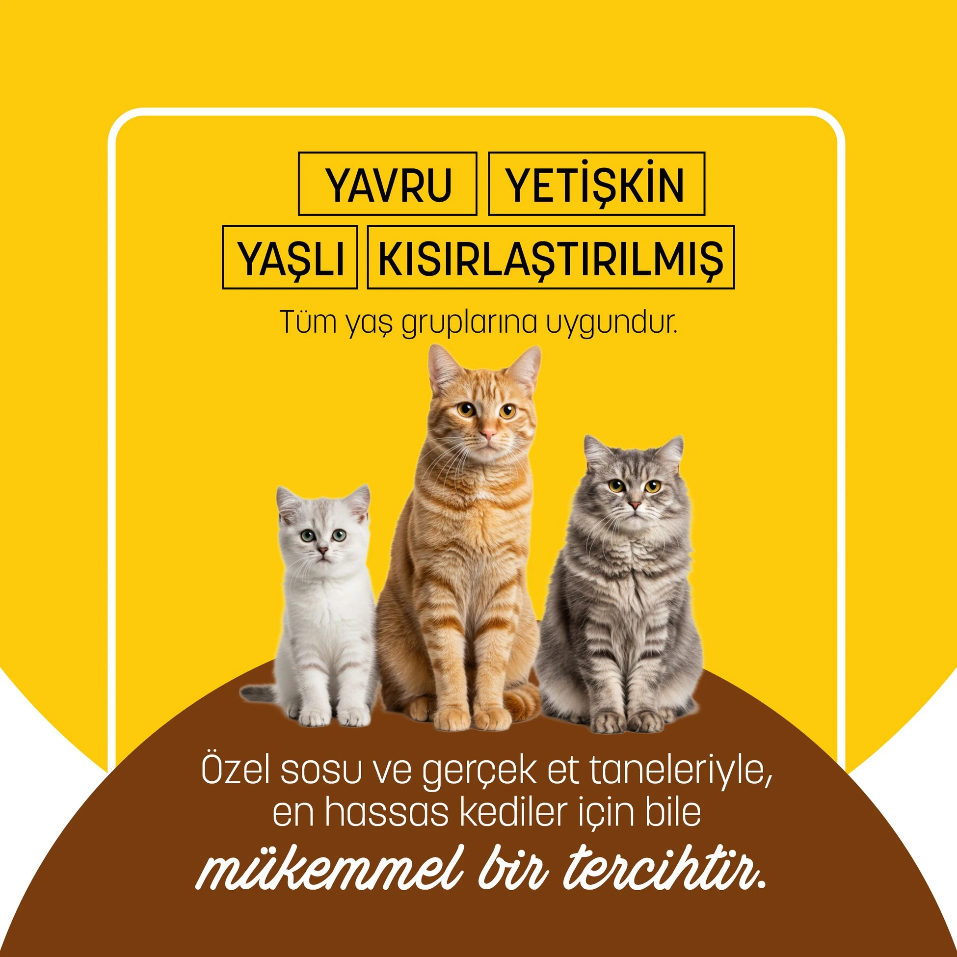 PETZZ-C003