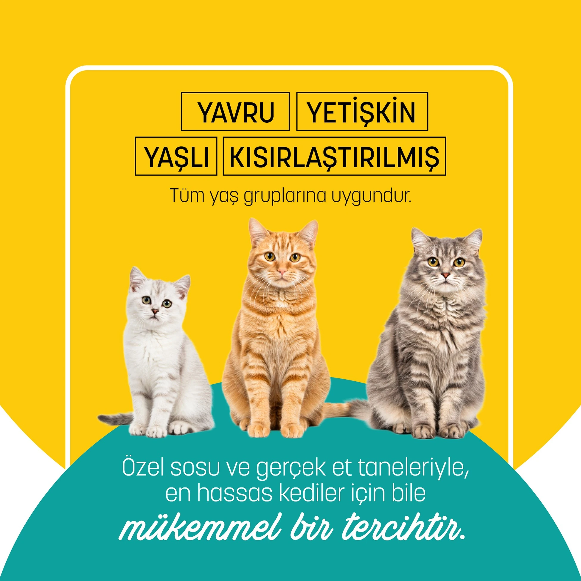 PETZZ-C005