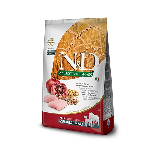 PND0250082