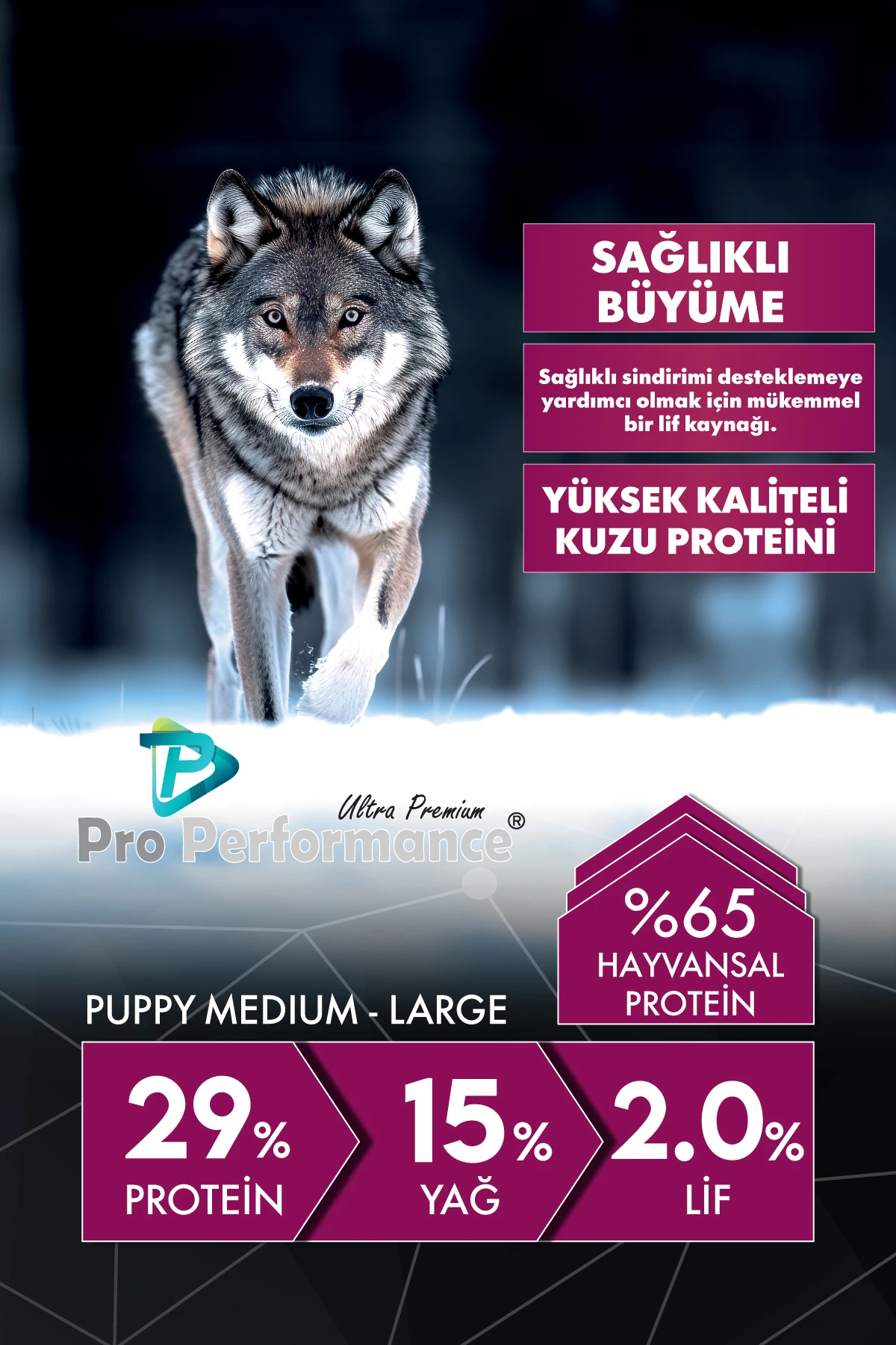 PET.PPD6001