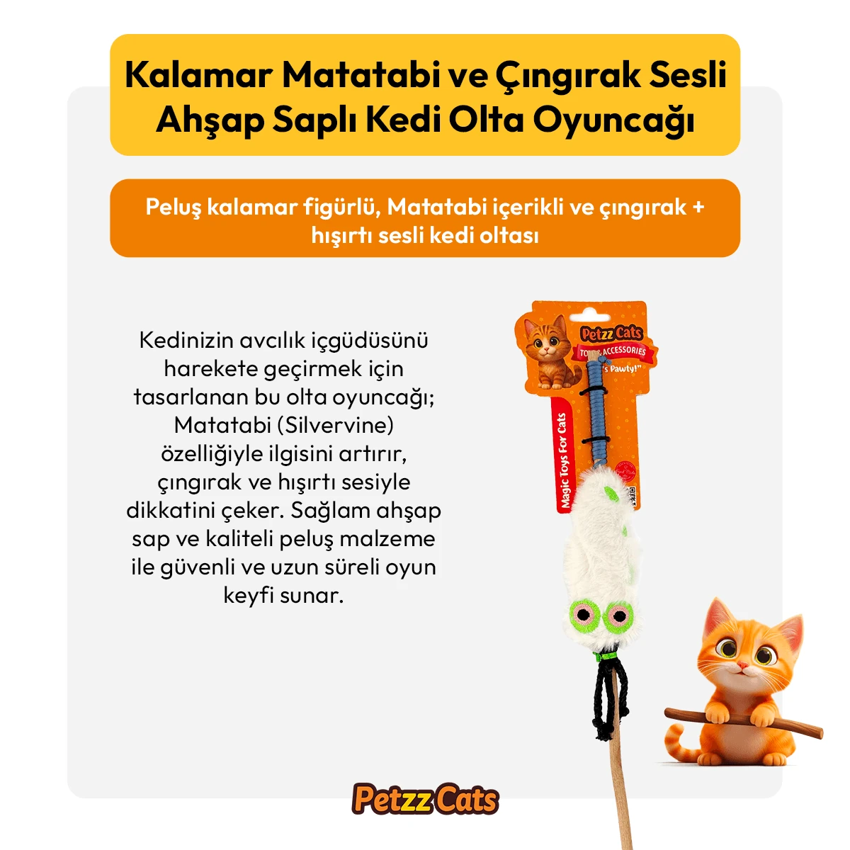 PTZ-C-002-B
