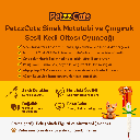 PTZ-C-006-B