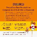 PTZ-C-008-B