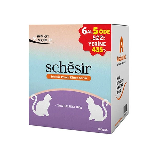 500-SCHYAV100