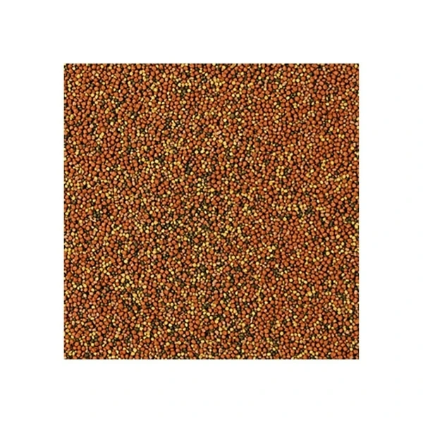 5900469604168