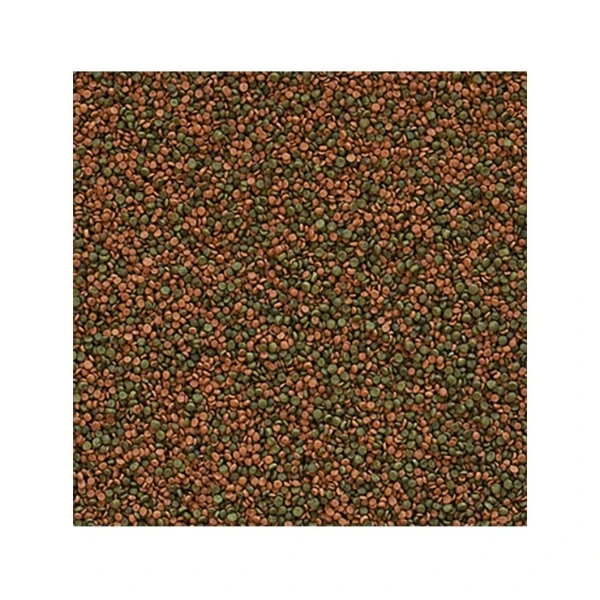 5900469604540
