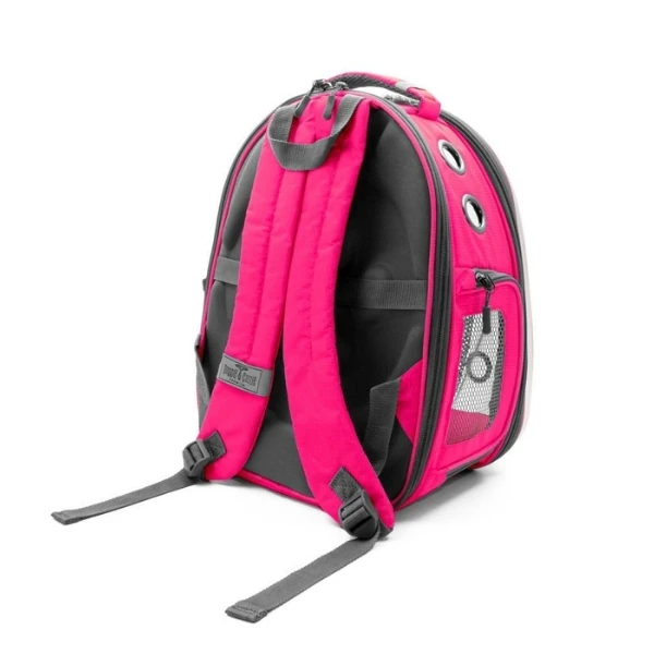 NEWVISIONPLUSPINK