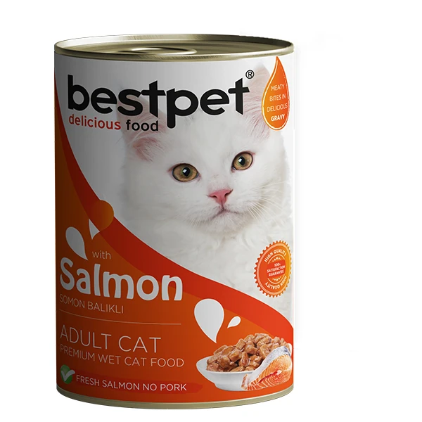 [P0010] Bestpet Somonlu Jöleli Yetişkin Konserve Kedi Maması (1 Adet)