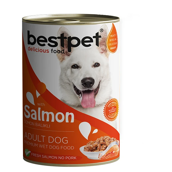 [P0026] Bestpet Somonlu Jöleli Yetişkin Köpek Konservesi (1 Adet)