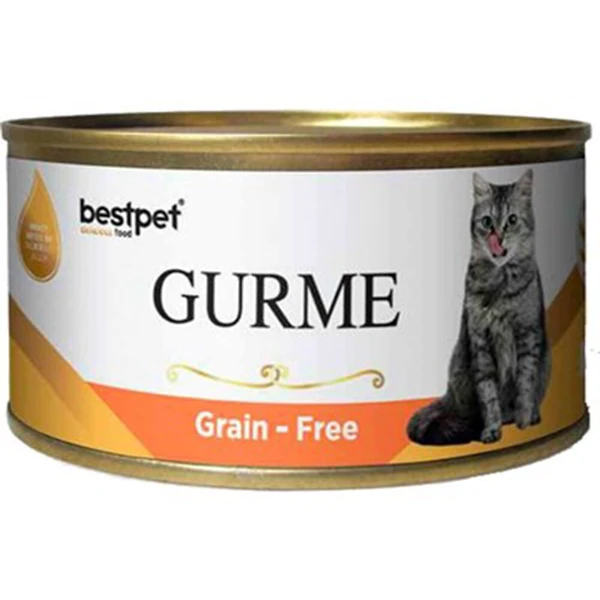 [P0064] Bestpet Gurme Jöleli Somonlu Yetişkin Konserve Kedi Maması (1 Adet)