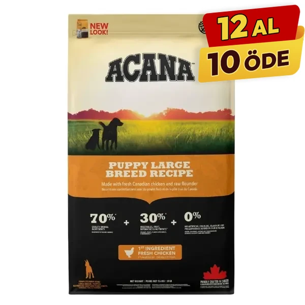 [064992501174] Acana Puppy Large Tahılsız Tavuklu ve Balıklı Büyük Irk Yavru Köpek Maması (17 Kg)