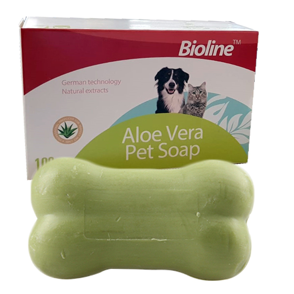 [681-2221] Bioline Aloe Vera Kuru Kedi Sabun