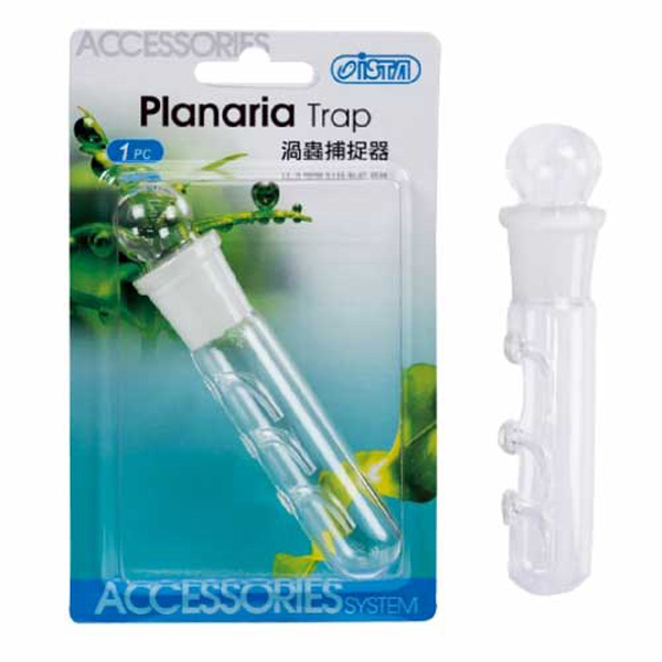 [691-IF725] Ista Akvaryum Planaria Tuzağı