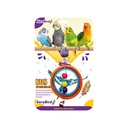 Euro Bird İçiçe Halka Kuş Oyuncağı