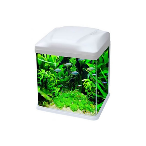 [741-B226-B] Ebo B226 Mini Fanus Balık Akvaryumu (Beyaz)
