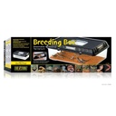Exo Terra Breeding Sürüngen Box