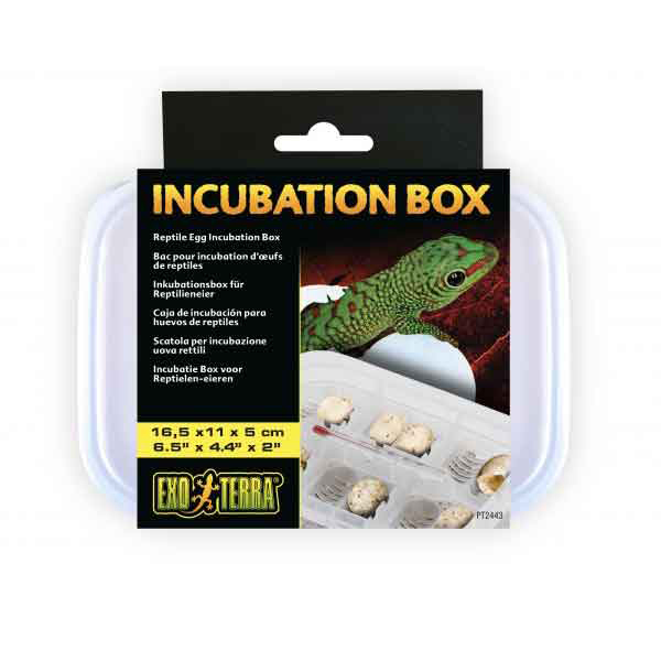 [702-PT2443] Exo Terra Incubation Sürüngen Box