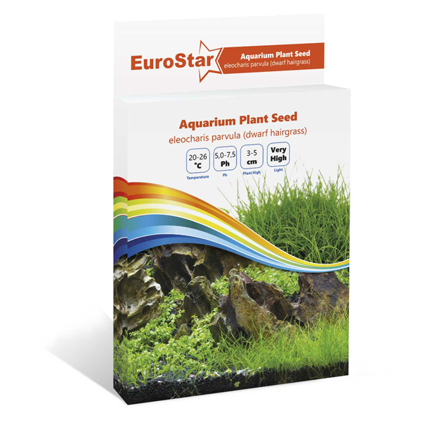 [452-1503] Euro Star Eleocharis Parvula Akvaryum Bitki Tohumu