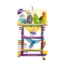 Euro Bird Boncuklu Merdiven Kuş Oyuncağı