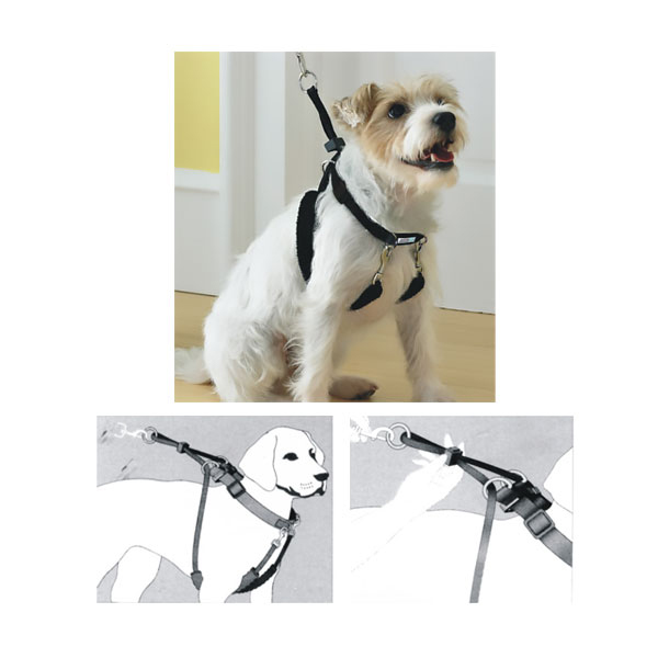 [679-13521] Pawise Dog Training Köpek Eğitim Tasması Medium (9-12 Cm)