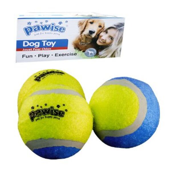 [679-14742] Pawise Karton Kutulu Tenis Topu Köpek Oyuncağı