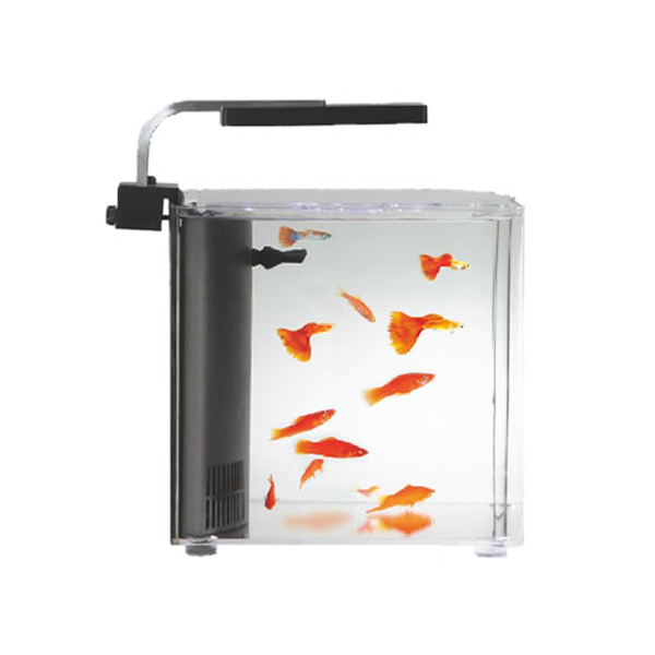 [100-CT08] Aquasyncro Clarity Filtreli ve Işıklı Nano Akvaryum (20x20x25 Cm)