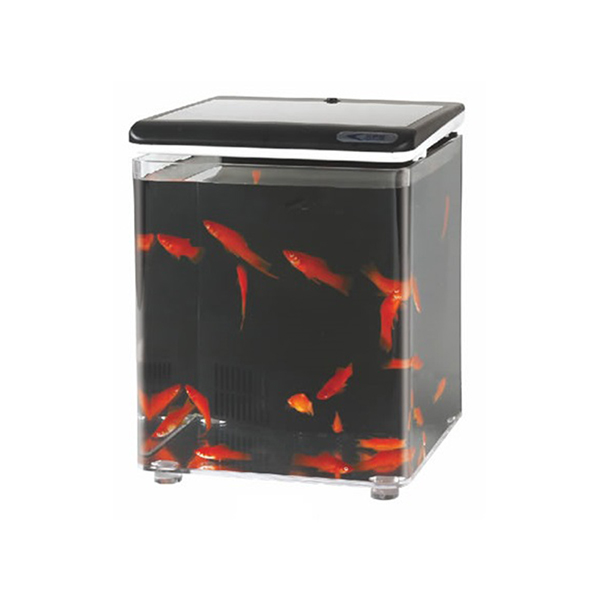 [100-FH08SASD] Aquasyncro Fish Home Filtreli ve Işıklı Nano Akvaryum (Siyah)